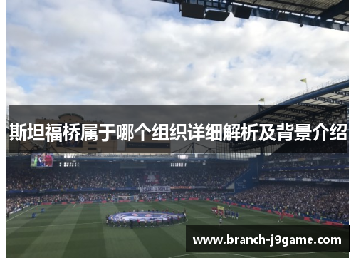 斯坦福桥属于哪个组织详细解析及背景介绍