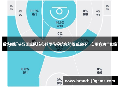 系统解析获取国家队核心球员伤停信息的权威途径与实用方法全指南