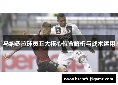 马纳多拉球员五大核心位置解析与战术运用