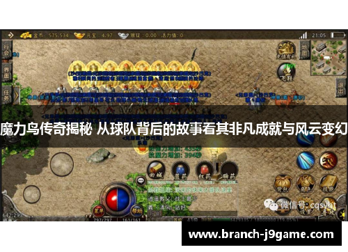 魔力鸟传奇揭秘 从球队背后的故事看其非凡成就与风云变幻