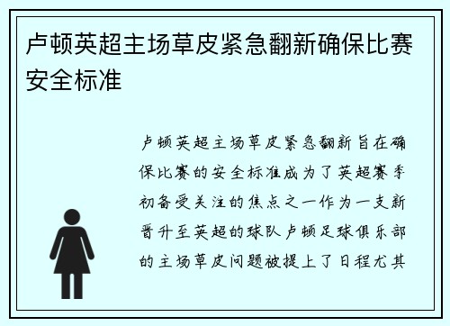 卢顿英超主场草皮紧急翻新确保比赛安全标准 卢顿英超主场草皮紧急翻新确保比赛安全标准