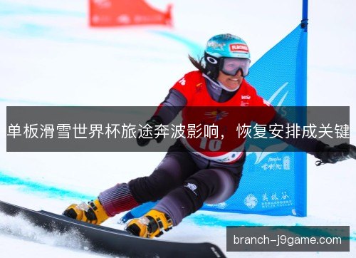 单板滑雪世界杯旅途奔波影响，恢复安排成关键