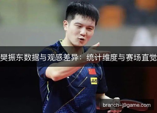 樊振东数据与观感差异：统计维度与赛场直觉
